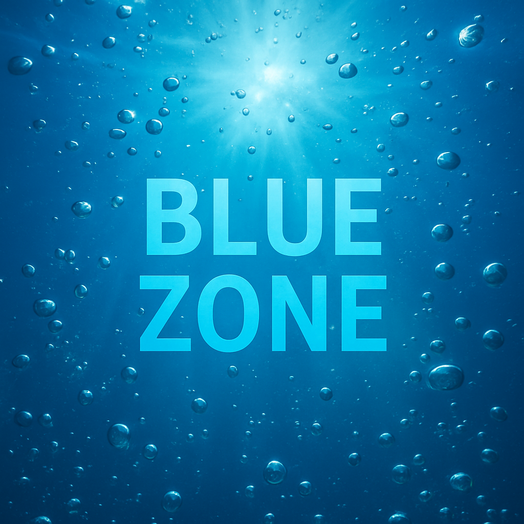 blue zone blue zone